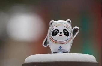 “冰墩墩”、、、“雪容融”商标也抢手，，，，已被成功注册！！！